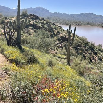 Bartlett Lake - Hiking Near Me - Scottsdale, Arizona Bartlett Lake - Hiking Near Me - Scottsdale, Arizona