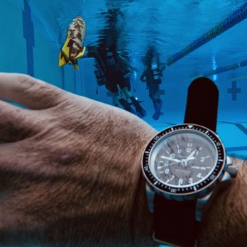 Original Oaktown Divers - Dive class in the pool. - Scuba Diving Near Me - Oakland, California Original Oaktown Divers - Dive class in the pool. - Scuba Diving Near Me - Oakland, California