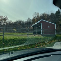 Lollypop Farm Humane Society Of Greater Rochester