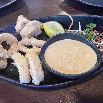 Cilantro Grill - Calamari - Thai Near Me - Cedar Park, Texas Cilantro Grill - Calamari - Thai Near Me - Cedar Park, Texas