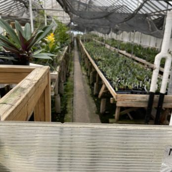 Orchids By Hausermann - Lots of plants - Nurseries & Gardening Near Me - Villa Park, Illinois