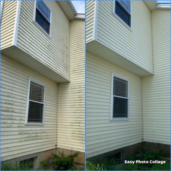 Softwash Pros - Algae dead and cleaned away - Pressure Washers Near Me Softwash Pros - Algae dead and cleaned away - Pressure Washers Near Me