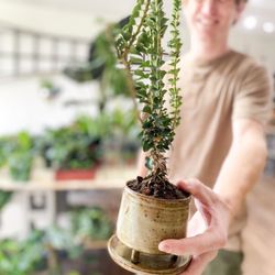 Leaf & Vine, Urban Plant Shop - At Leaf & Vine, we carry and support the work of local artists. Here is a handmade planter made by Zac de Beijl, @claycoveredhands
