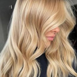 inspo inspo