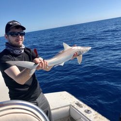 Fearless Fishing Charters - March 2 shark