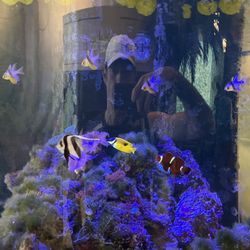 Coachella Valley Imaging - Here~Fishy~Fishy