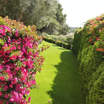 Better Than Real Artificial Grass - Artificial Turf Near Me - San Rafael, California Better Than Real Artificial Grass - Artificial Turf Near Me - San Rafael, California