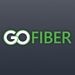 Go Fiber