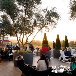 Sky & Vine Rooftop Bar - Archer Hotel Napa Sky & Vine Rooftop Bar with People