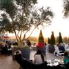 Sky & Vine Rooftop Bar gift card