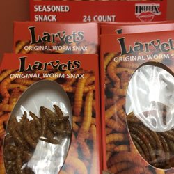 Beef Jerky Outlet - Some of the insects you can buy