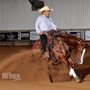 Photo of Morgan Stables Performance Horses