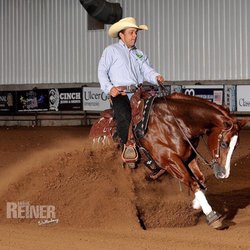 Morgan Stables Performance Horses