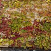 Photo of Getty Center - Los Angeles, CA, United States. It's autumn!!!