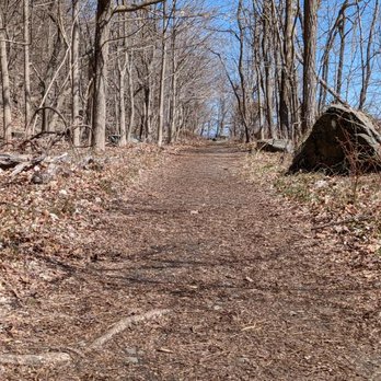 Palisades Interstate Park Commission - Hiking Near Me - Alpine, New Jersey