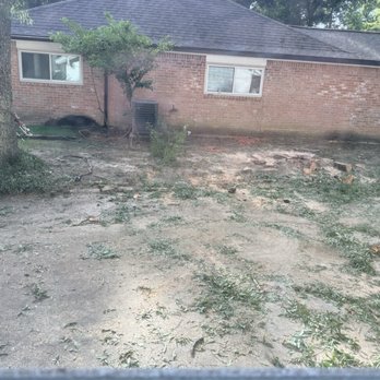 Texas Tree Masters - One of the driveway oaks after removal. - Tree Services Near Me - Katy, Texas Texas Tree Masters - One of the driveway oaks after removal. - Tree Services Near Me - Katy, Texas