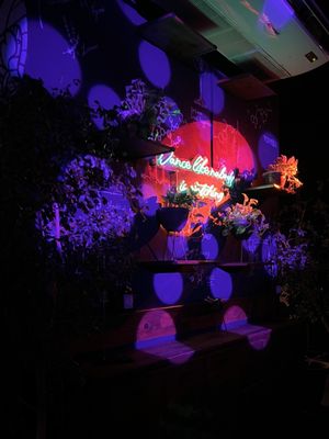 Dalton Gin Bar by null