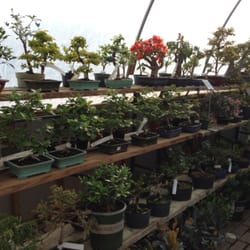 The Hidden Gardens