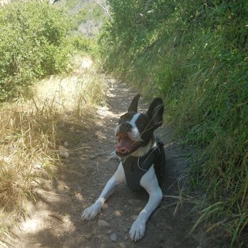 Dawn Mine Hike - Every bit of shade counts! - Hiking Near Me - Altadena, California