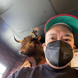 Bull Bull
