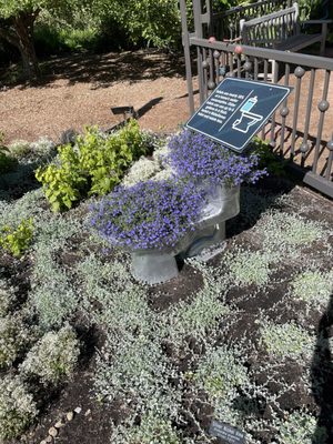 Red Butte Garden and Arboretum by null