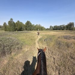 Medicine Lake Outfitters