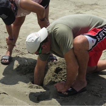 Discover Corps - Digging nests - Travel Agents Near Me - San Diego, California Discover Corps - Digging nests - Travel Agents Near Me - San Diego, California