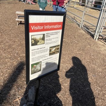 Barnyard Buddies - Petting Zoos Near Me - Lakewood, California Barnyard Buddies - Petting Zoos Near Me - Lakewood, California