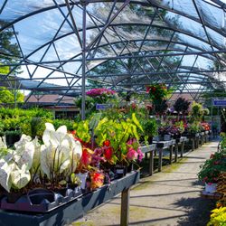 Ken Matthews Garden Center