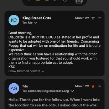 King Street Cats - New information about Claudette after I was told to ask, and interesting assumptions about what I can and can't afford. - Animal Shelters Near Me - Alexandria, Virginia