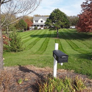 Green Elements - a mailbox in front of a house - Tree Services Near Me - Moscow Mills, Missouri