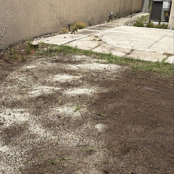 Yrlocals - laying the seeds for over seeding - Lawn Services Near Me Yrlocals - laying the seeds for over seeding - Lawn Services Near Me