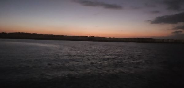 Island Packers Cruises by null
