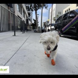 Loving her walk Loving her walk