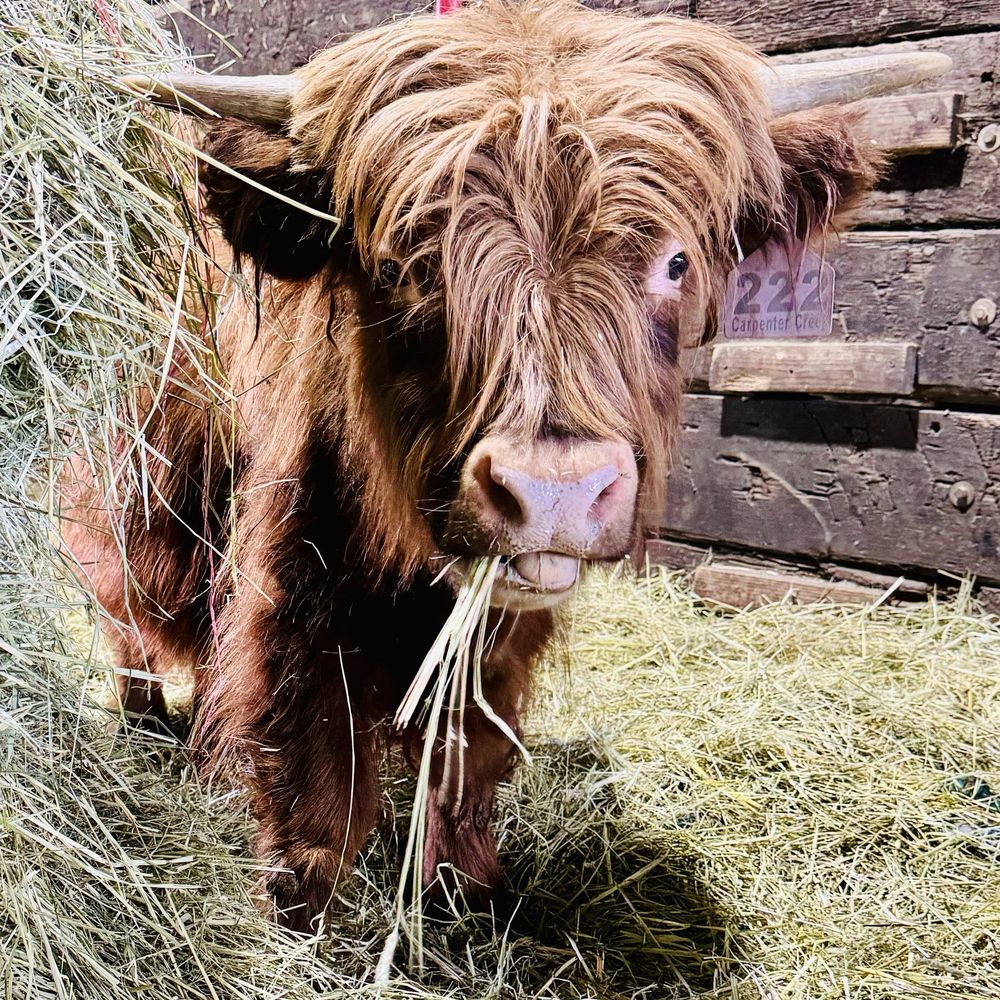 Carpenter Creek Ranch - Farms Near Me - Forest Grove, Oregon