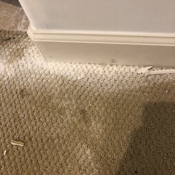 Immaculate Cleaning - Vacuum all carpets