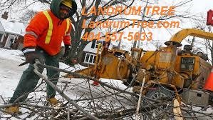 Landrum Tree Service - tree service in Stockbridge, GA