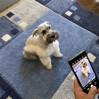 LOL Mobile Groomer - Pet Groomers Near Me LOL Mobile Groomer - Pet Groomers Near Me