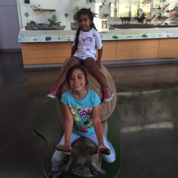 Bishop Museum - Exhibits they can ride - Museums Near Me - Honolulu, Hawaii