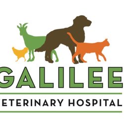 Galilee Veterinary Hospital