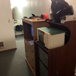 Azalea Lodge - Fridge and microwave.