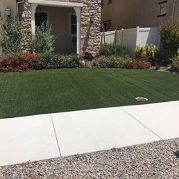 Front yard