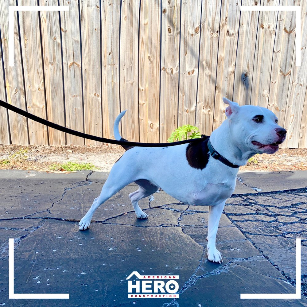 Slide of American Hero Construction Deltona