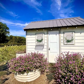 Sweethaven Lavender - Farms Near Me - Williamsburg, Virginia Sweethaven Lavender - Farms Near Me - Williamsburg, Virginia