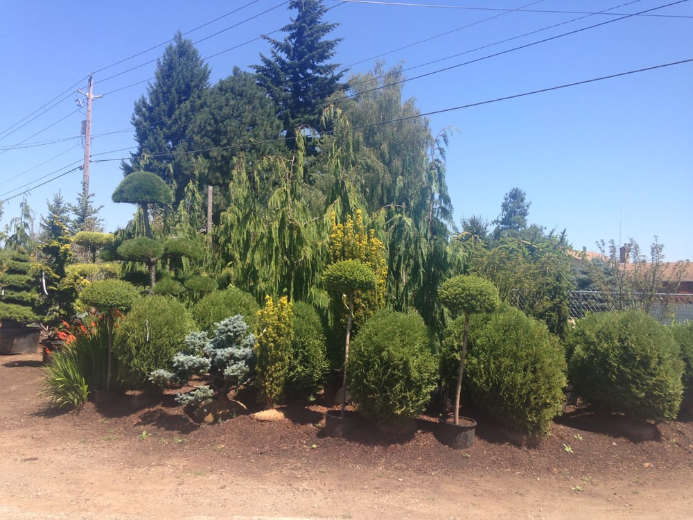 Lopez Nursery Closed 11 Photos Nurseries Gardening 11418 Nurseries Gardening