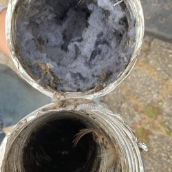 Titan Mold Removal & Air Duct Cleaning - Driver vent before and after