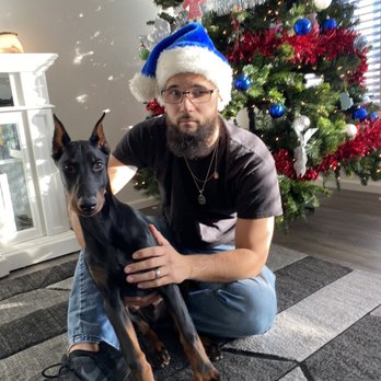 Blessed Beyond Dobermans - Pet Breeders Near Me - Pueblo, Colorado