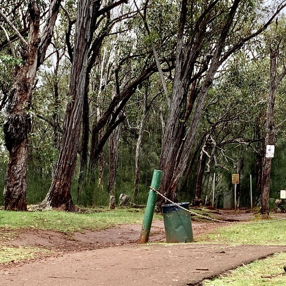 Aiea Loop Trail - Hiking Near Me - Aiea, Hawaii