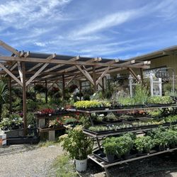 Redwood Nursery