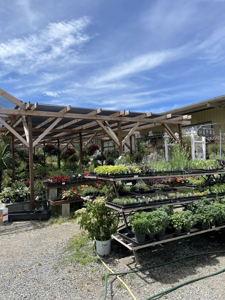 REDWOOD NURSERY Updated August 2024 17 Reviews 1303 Redwood Ave
